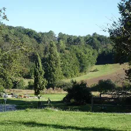 Piaf At Bassinaud